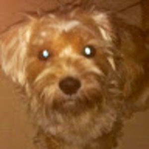 Meet your Posher, Kay